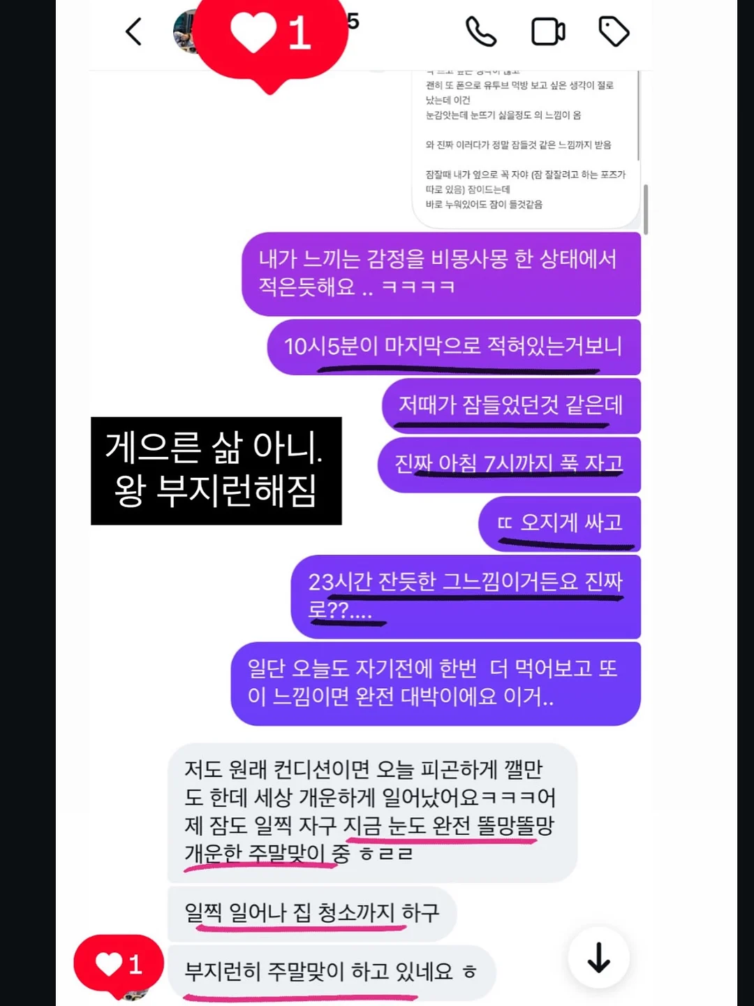 디마프 스팟젤 6