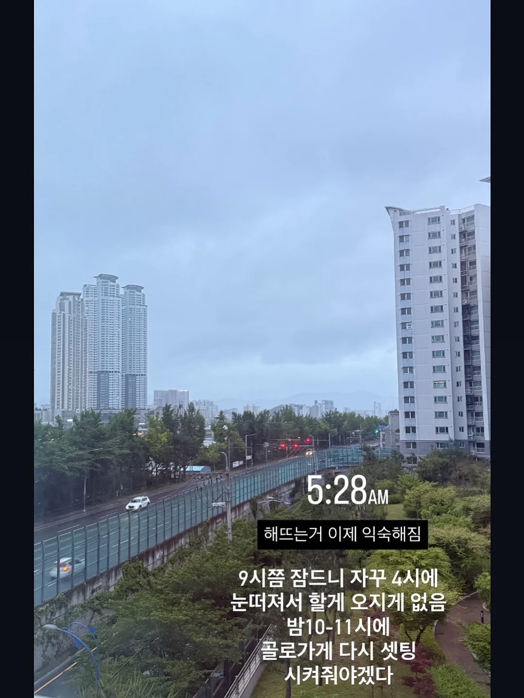 디마프 스팟젤 8