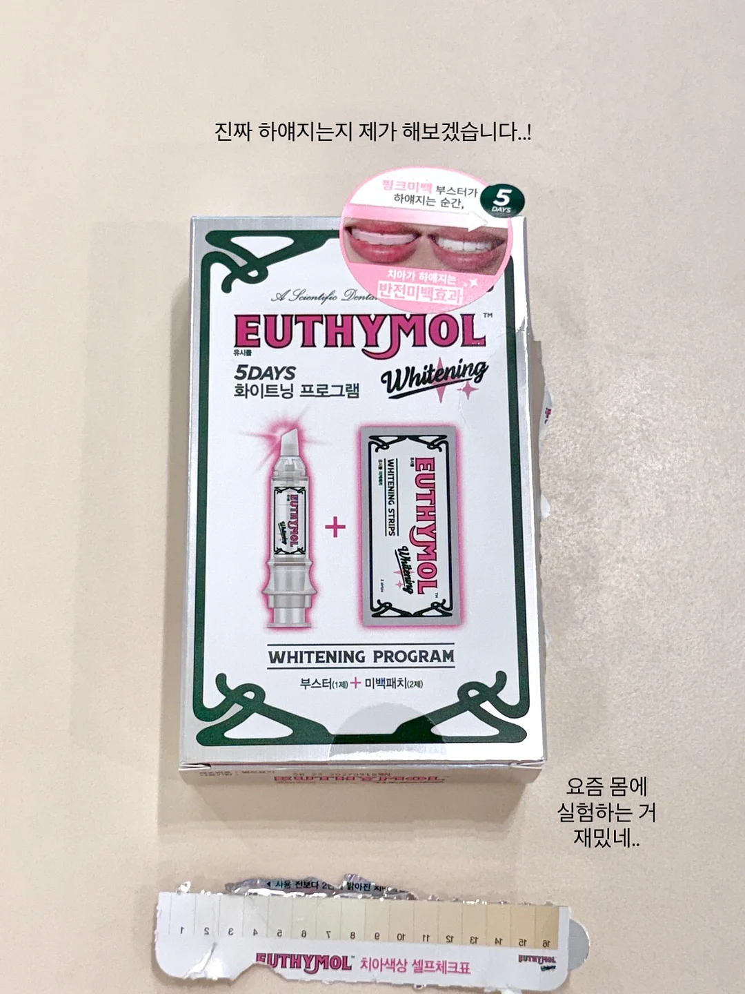 행복할 거야 이래도 되나 싶을 정도로 8