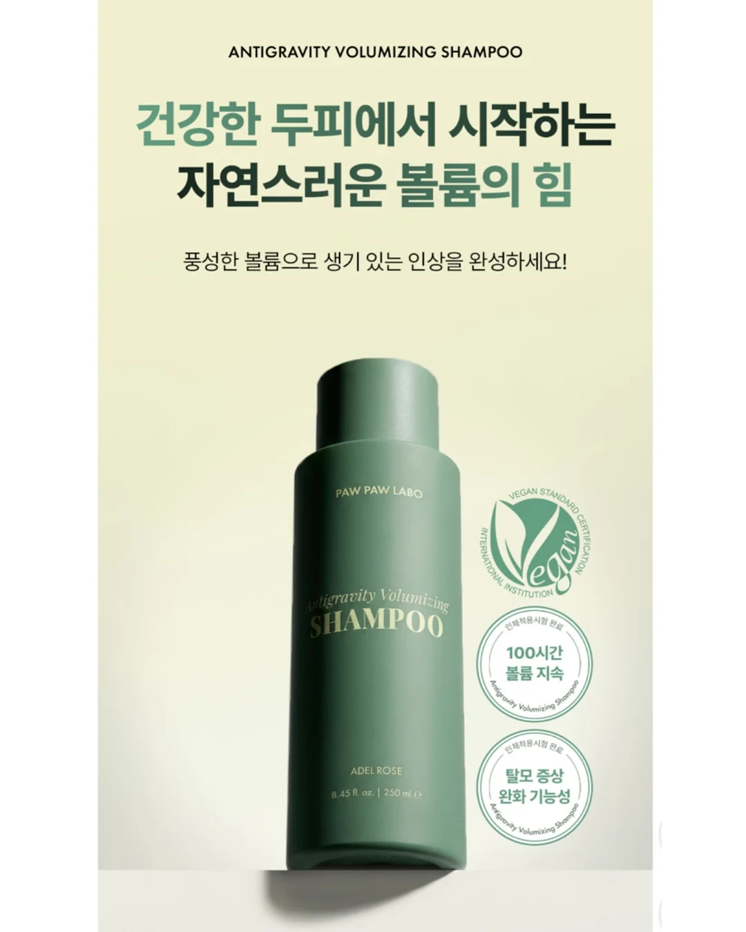 타일 페인트 7