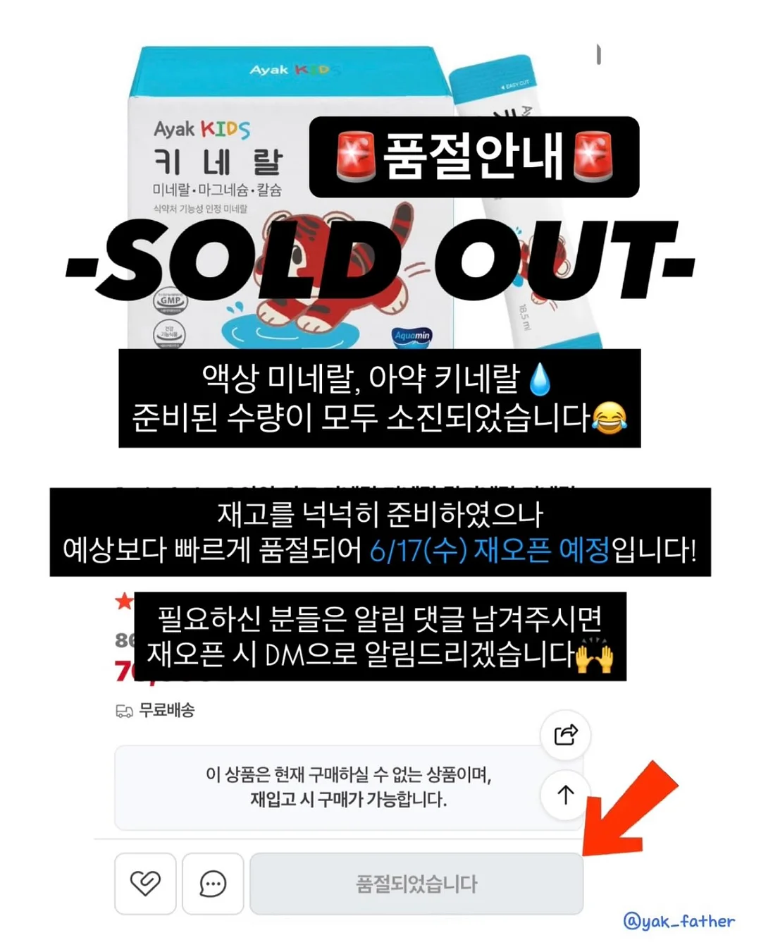 아이 얼굴 9개국 전통의상 스냅 프롬프트