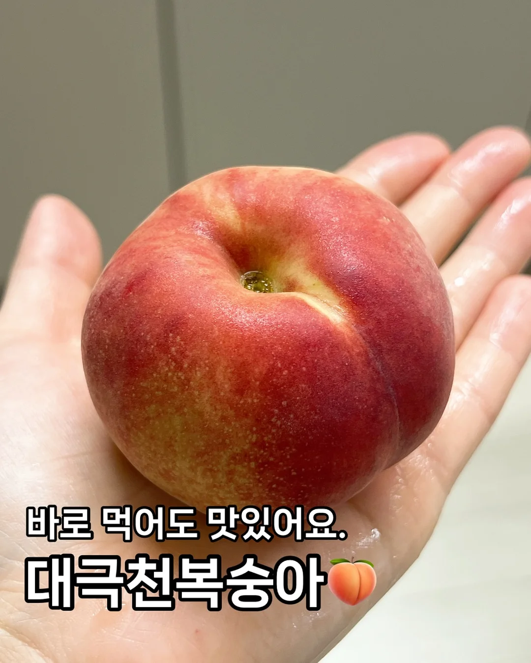 도화향수 1