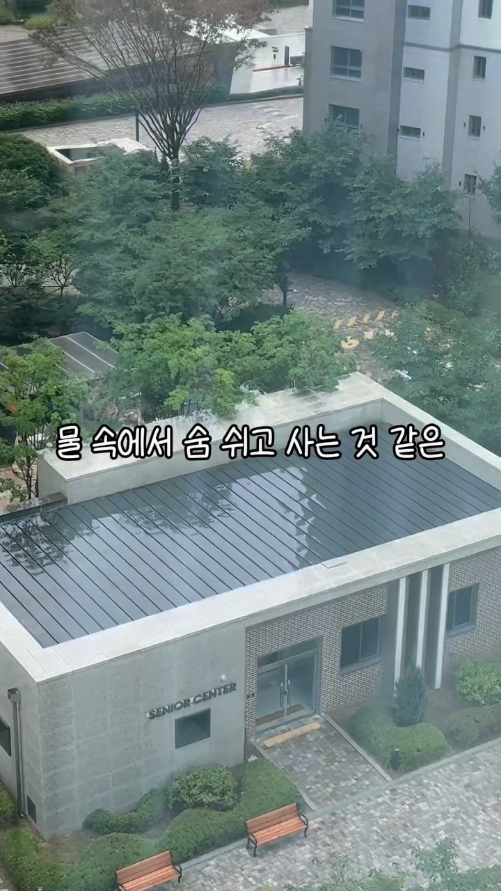 카라니트