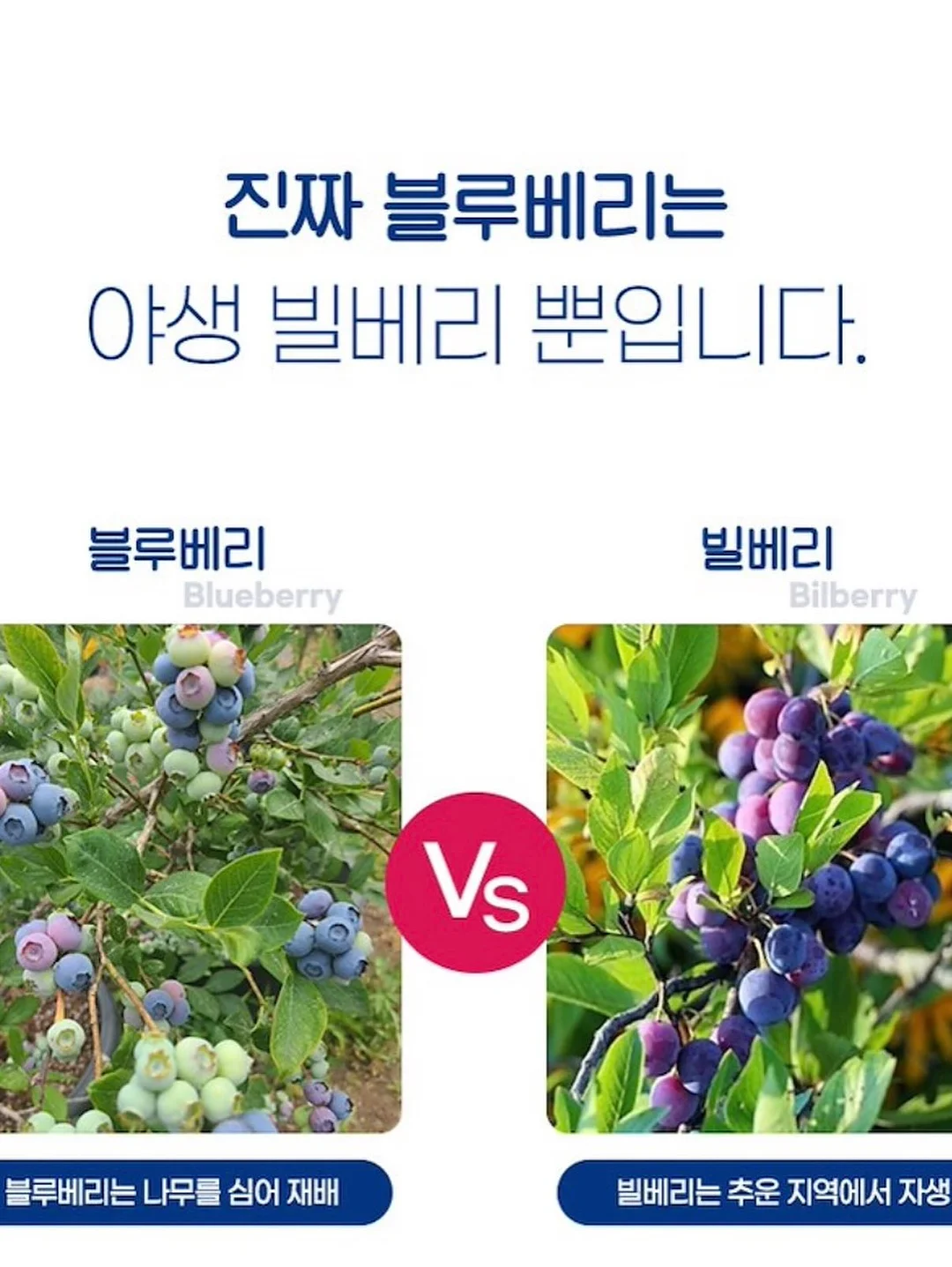 어네이브 선스틱 18