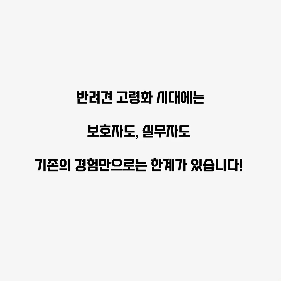 본식 메인스냅 4