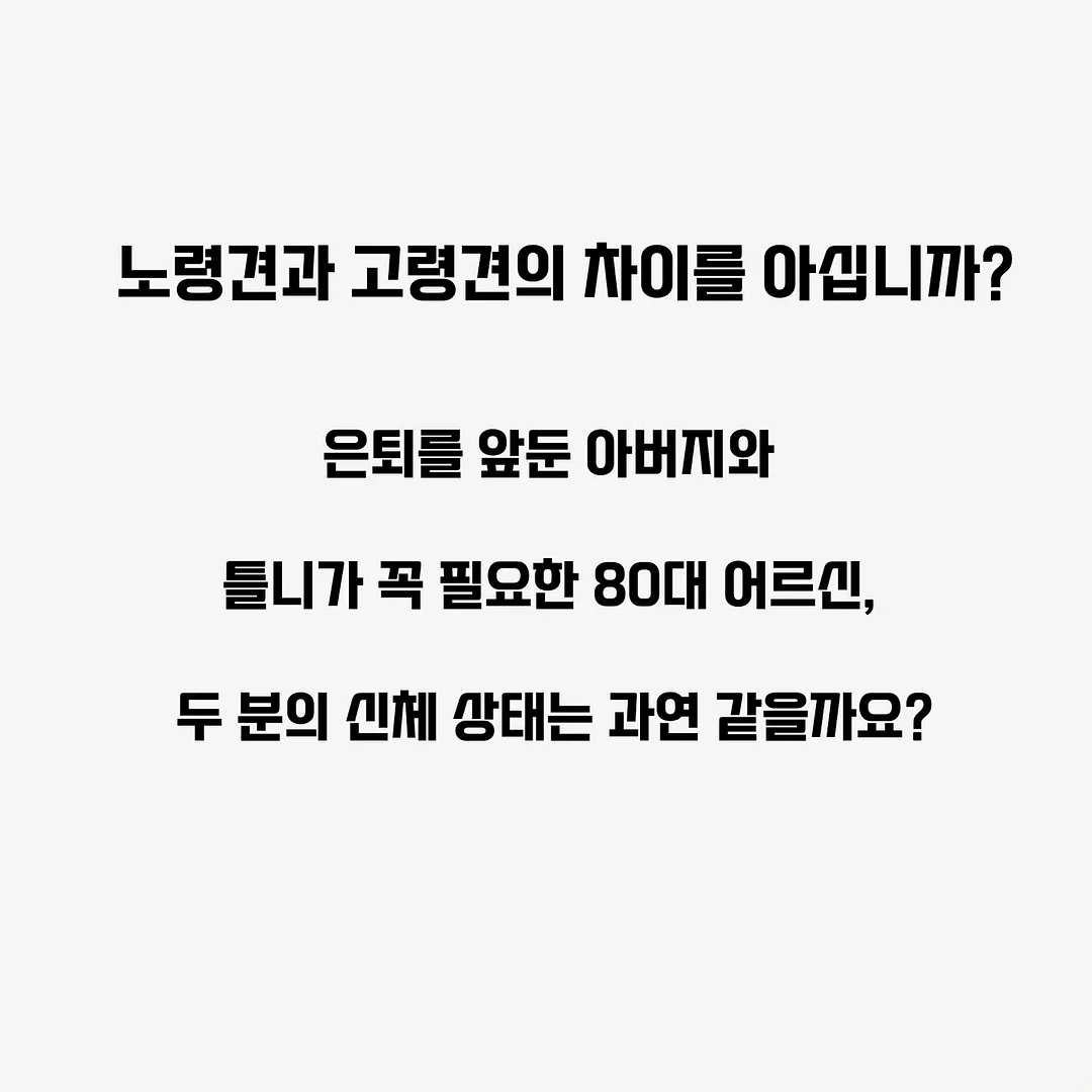 본식 메인스냅 5