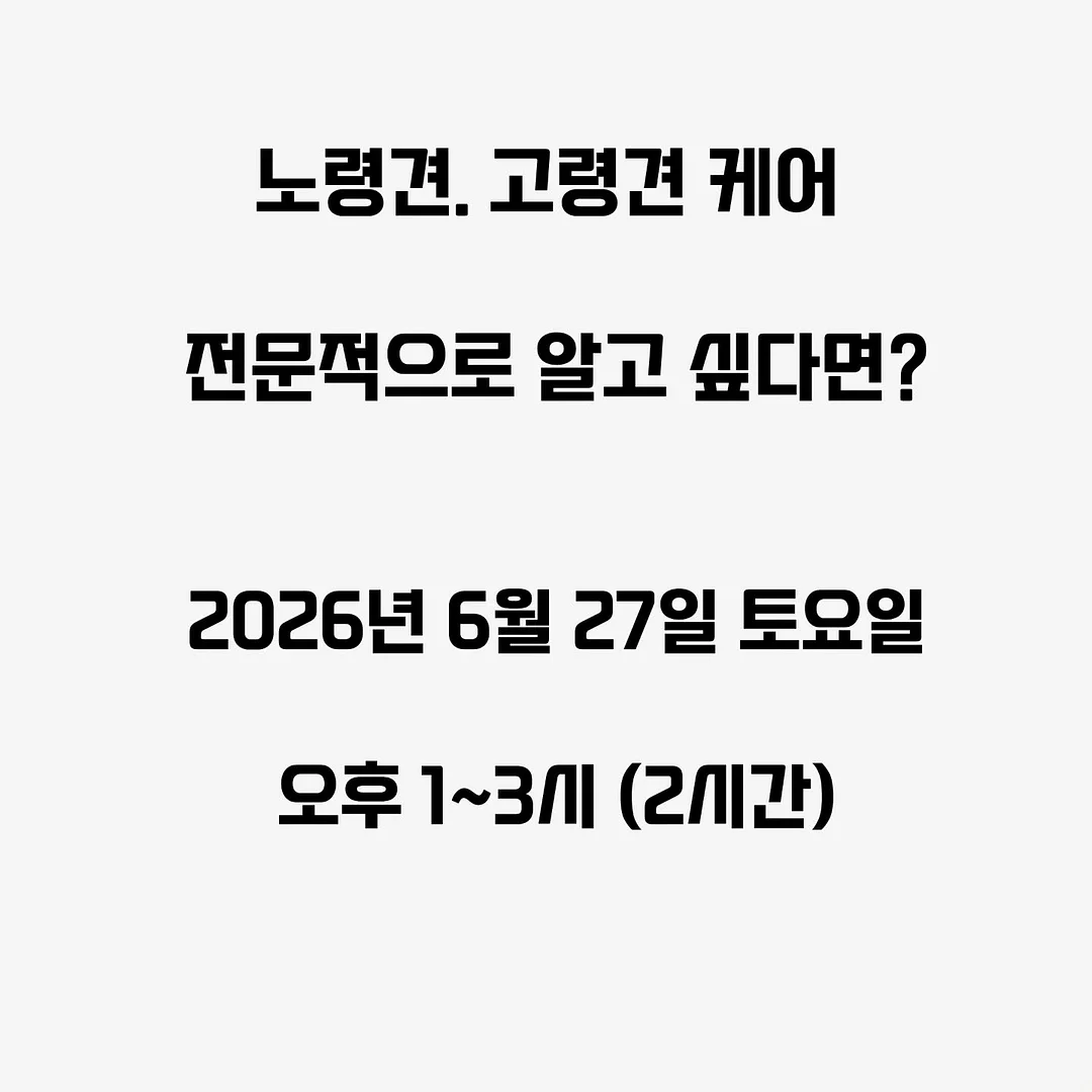 본식 메인스냅 6