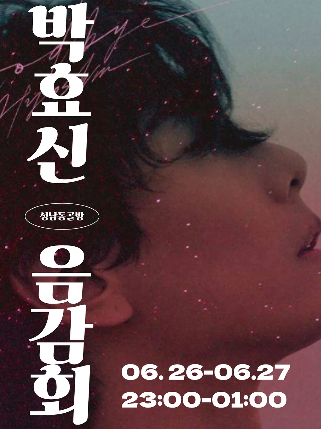 표고버섯칩