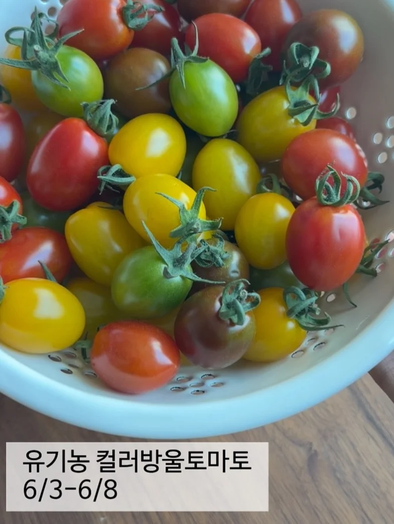 아기 머리띠 2