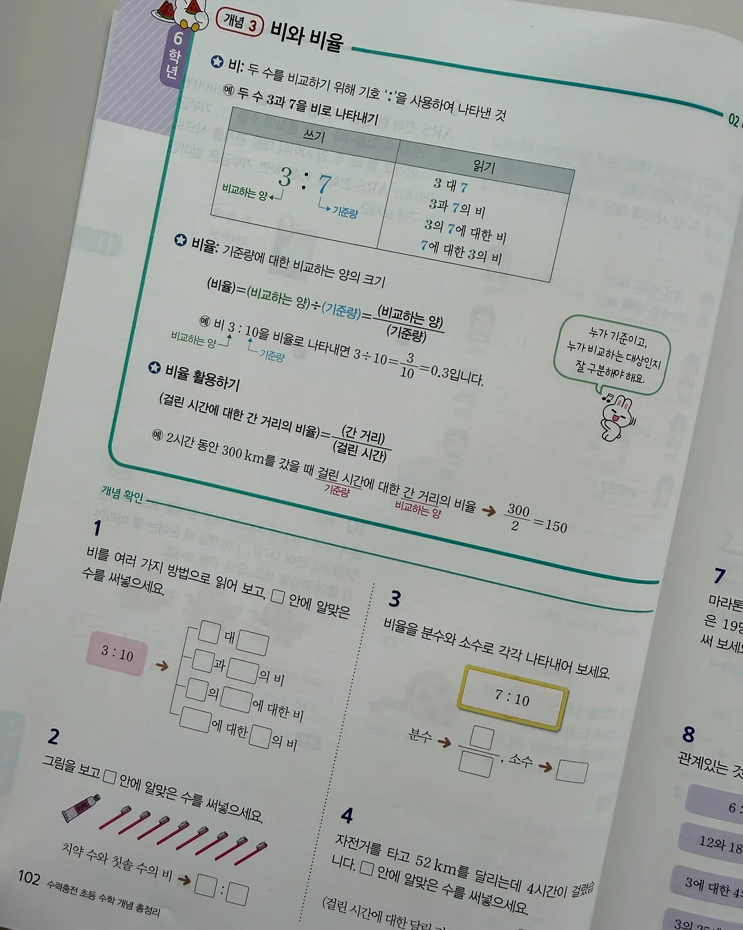 패스톤 카멜레온 초파리 트랩 12