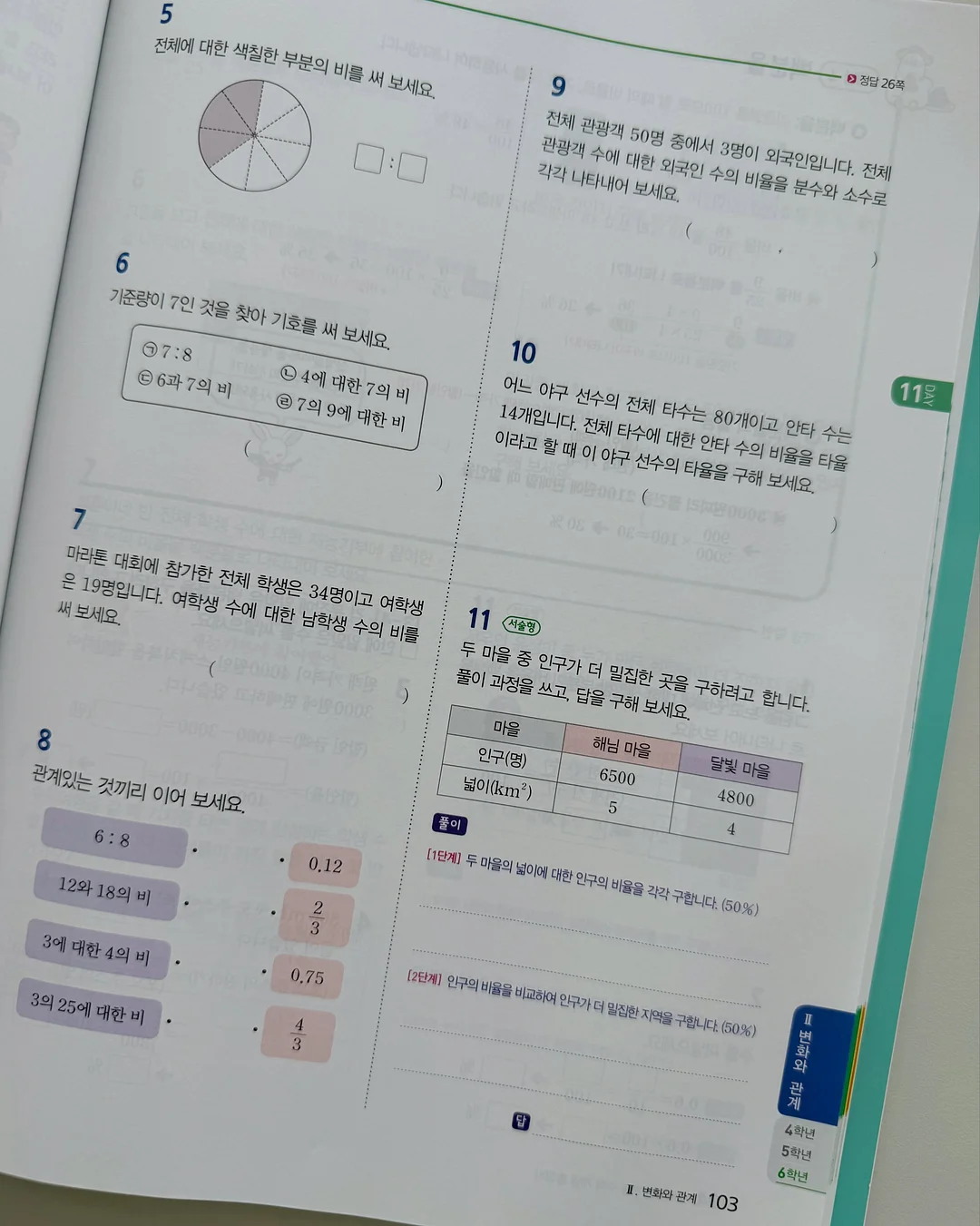 패스톤 카멜레온 초파리 트랩 13