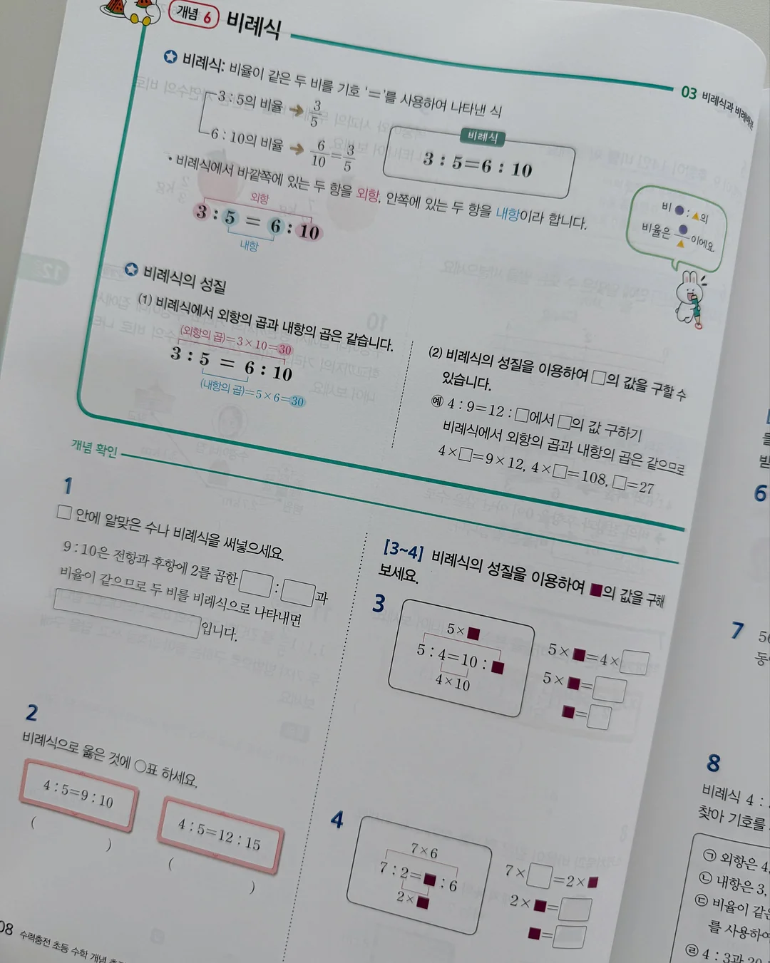 패스톤 카멜레온 초파리 트랩 16