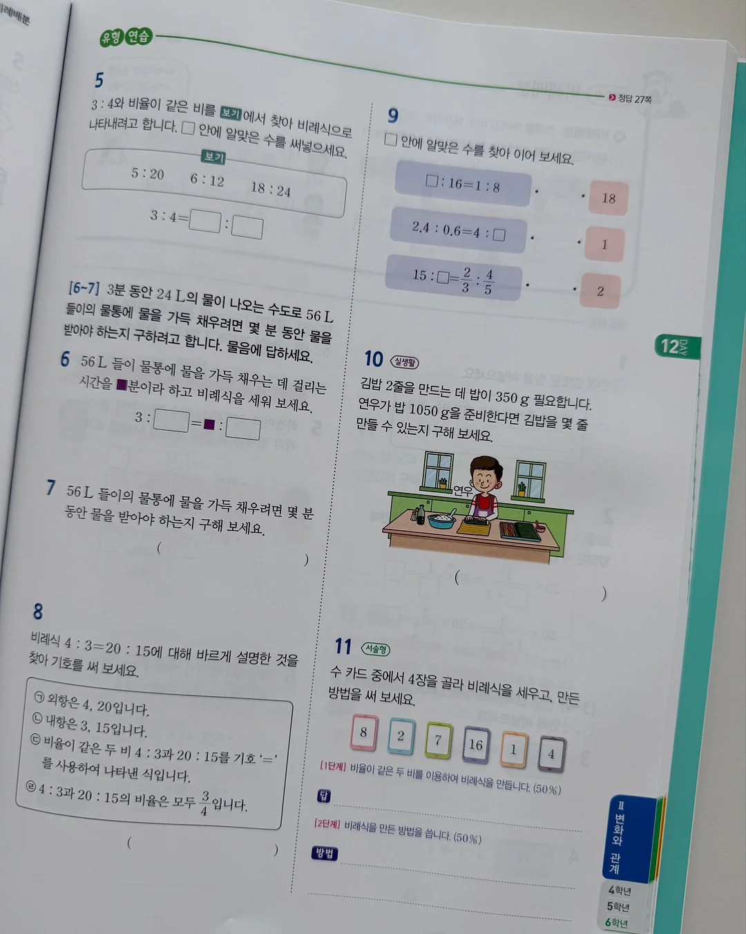 패스톤 카멜레온 초파리 트랩 17