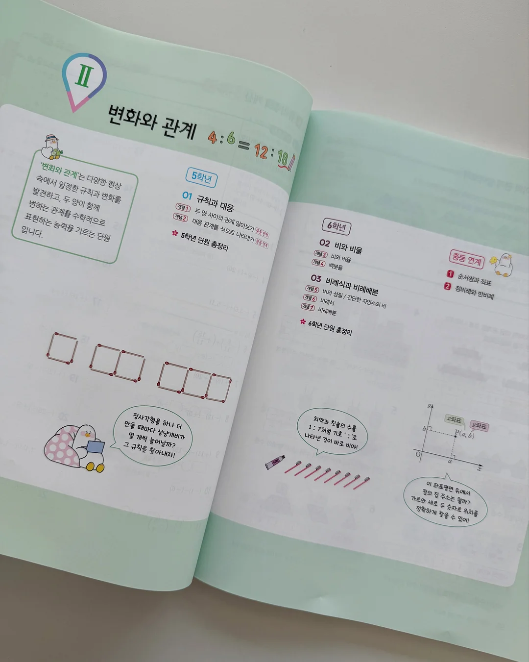 패스톤 카멜레온 초파리 트랩 5
