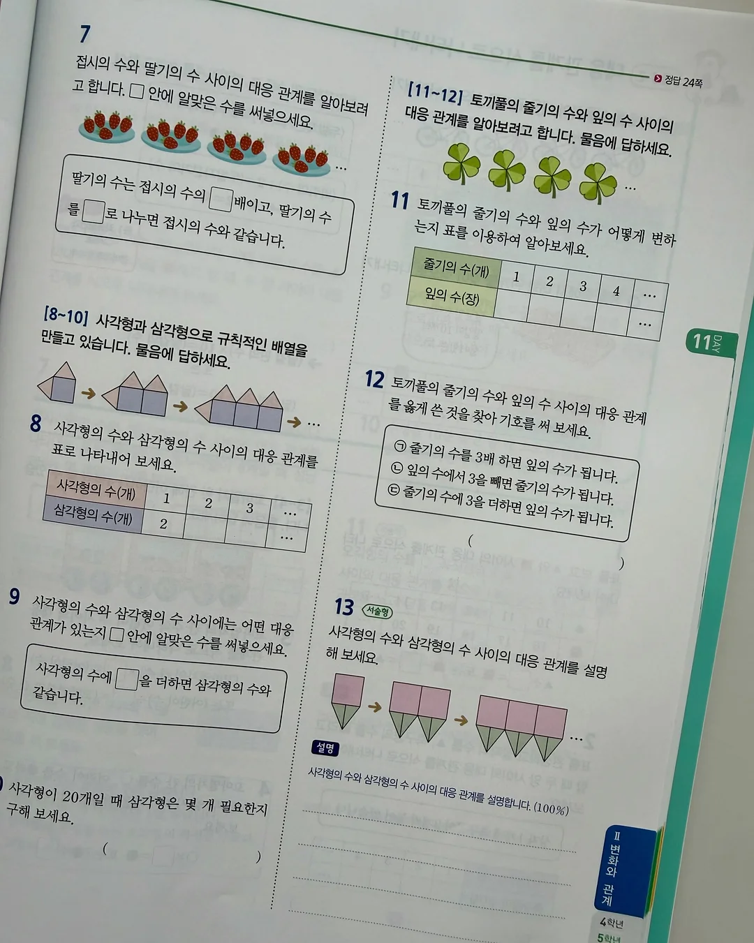 패스톤 카멜레온 초파리 트랩 7