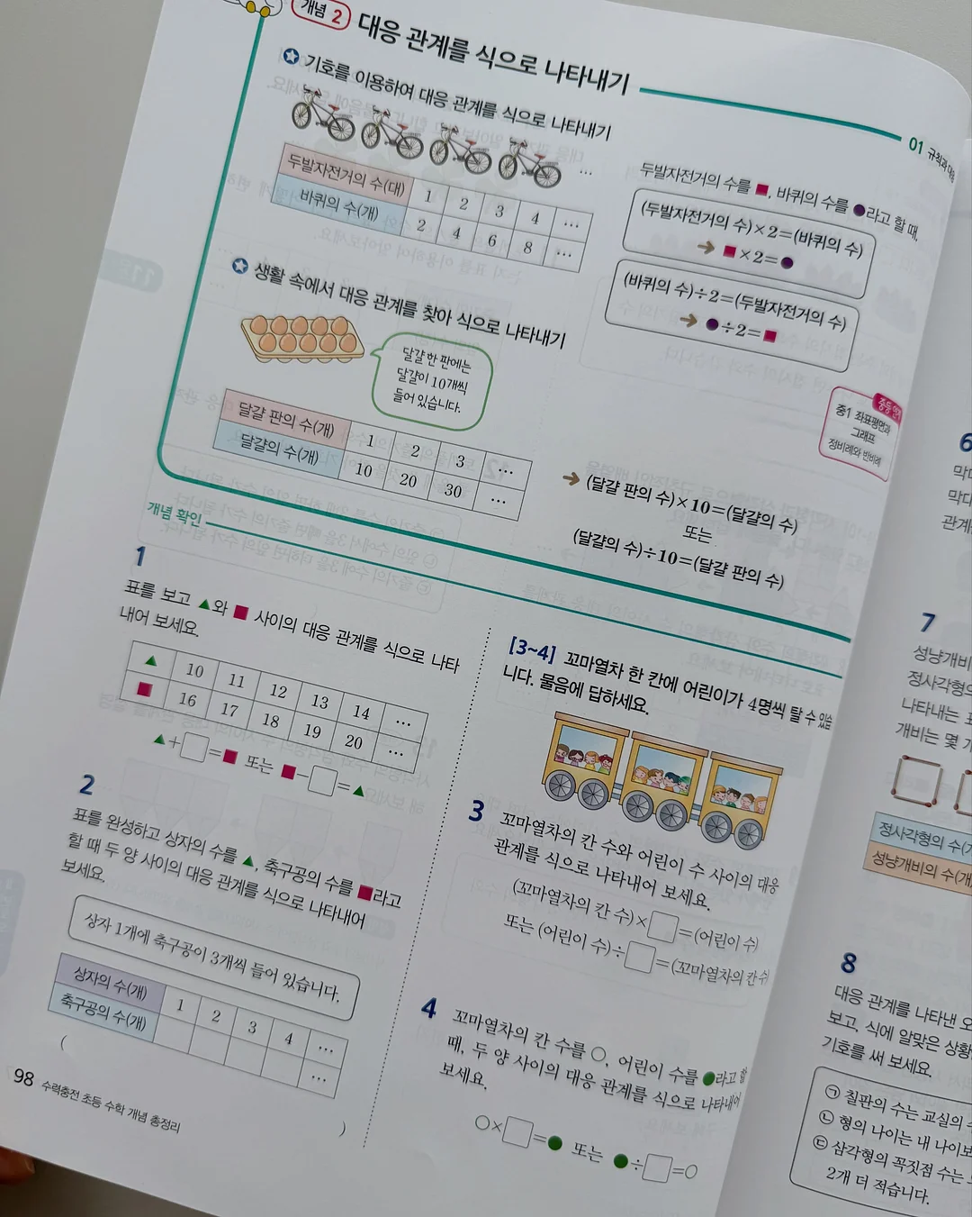 패스톤 카멜레온 초파리 트랩 8