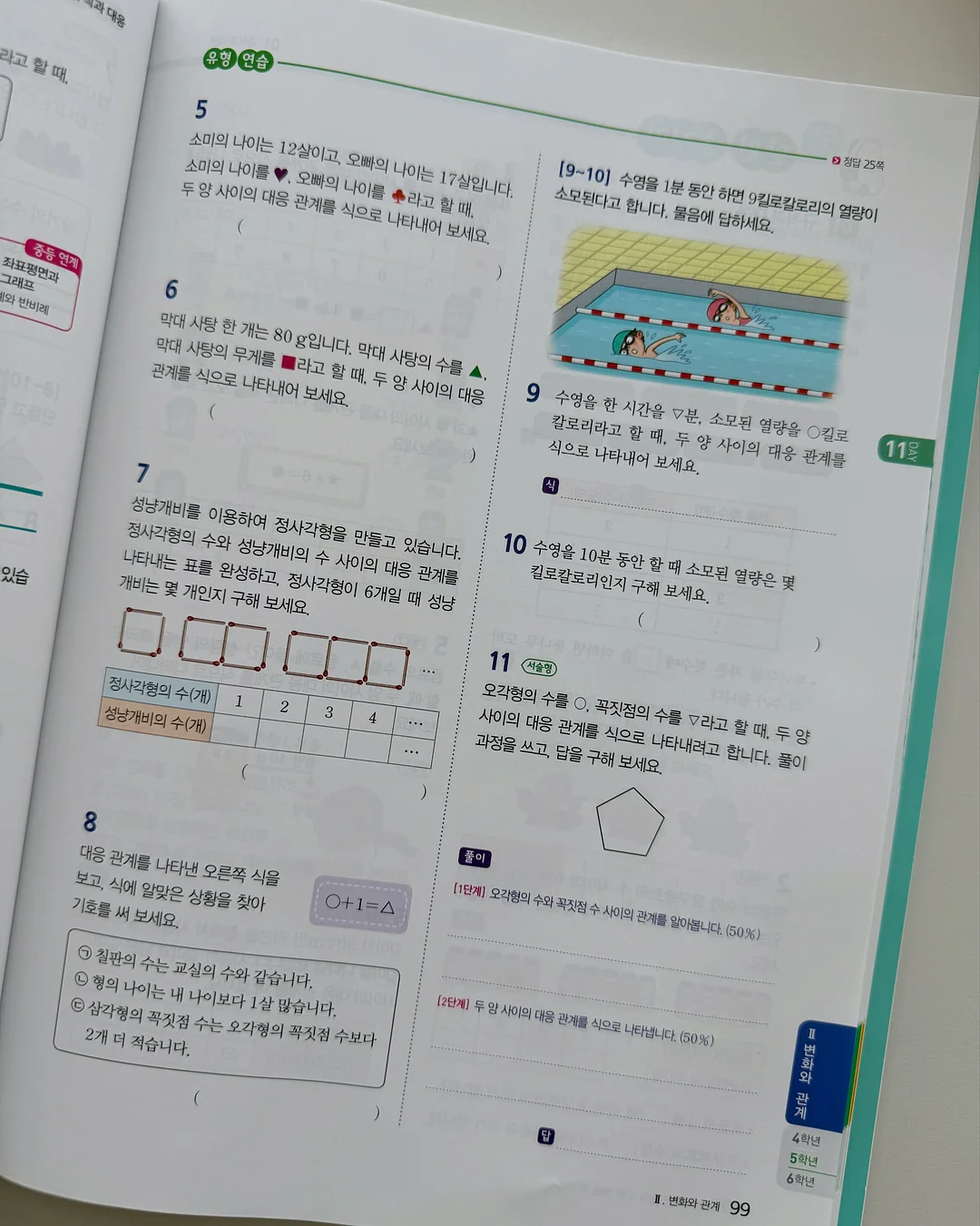 패스톤 카멜레온 초파리 트랩 9