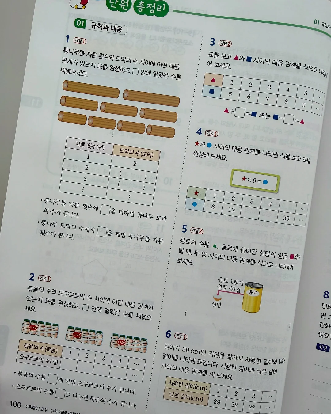 패스톤 카멜레온 초파리 트랩 10