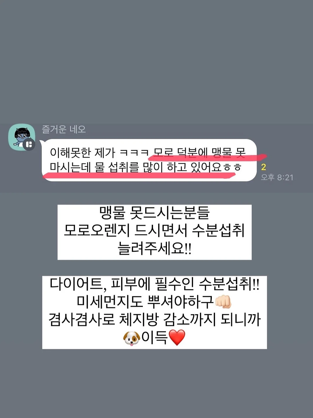 폴로 PK티 11