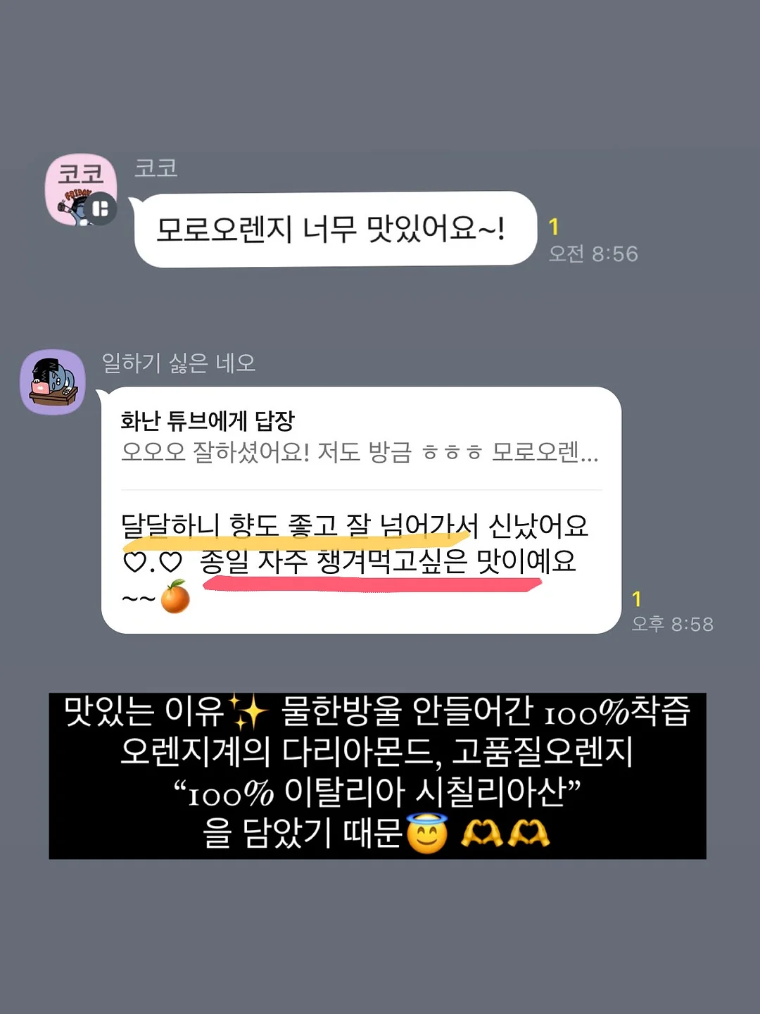 폴로 PK티 12