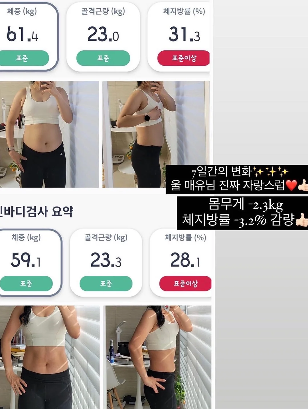 폴로 PK티 7
