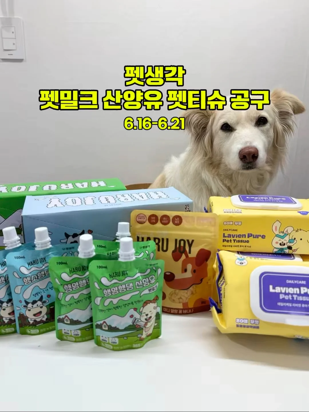 도형아 놀자 2D 1