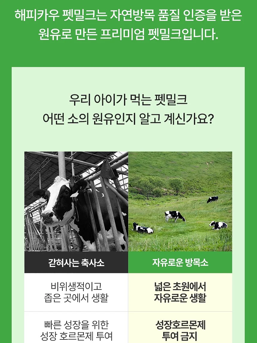 도형아 놀자 2D 11