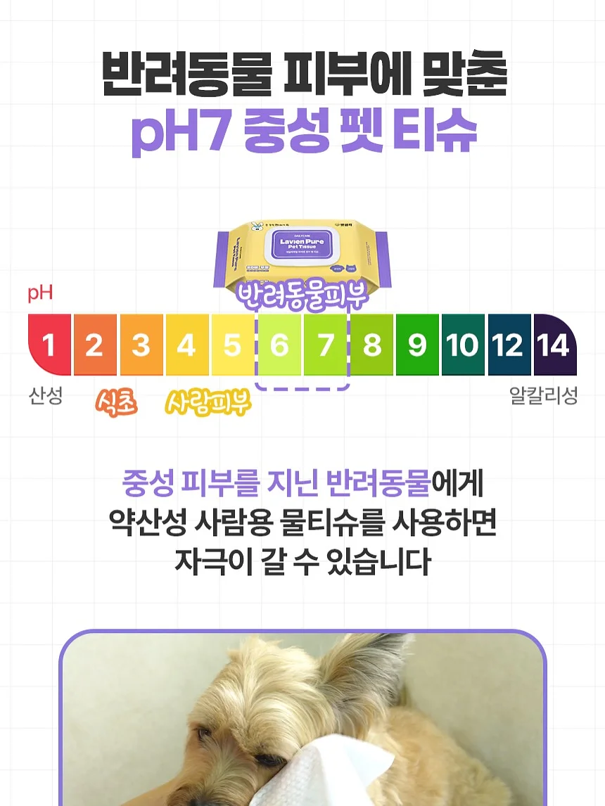 도형아 놀자 2D 16