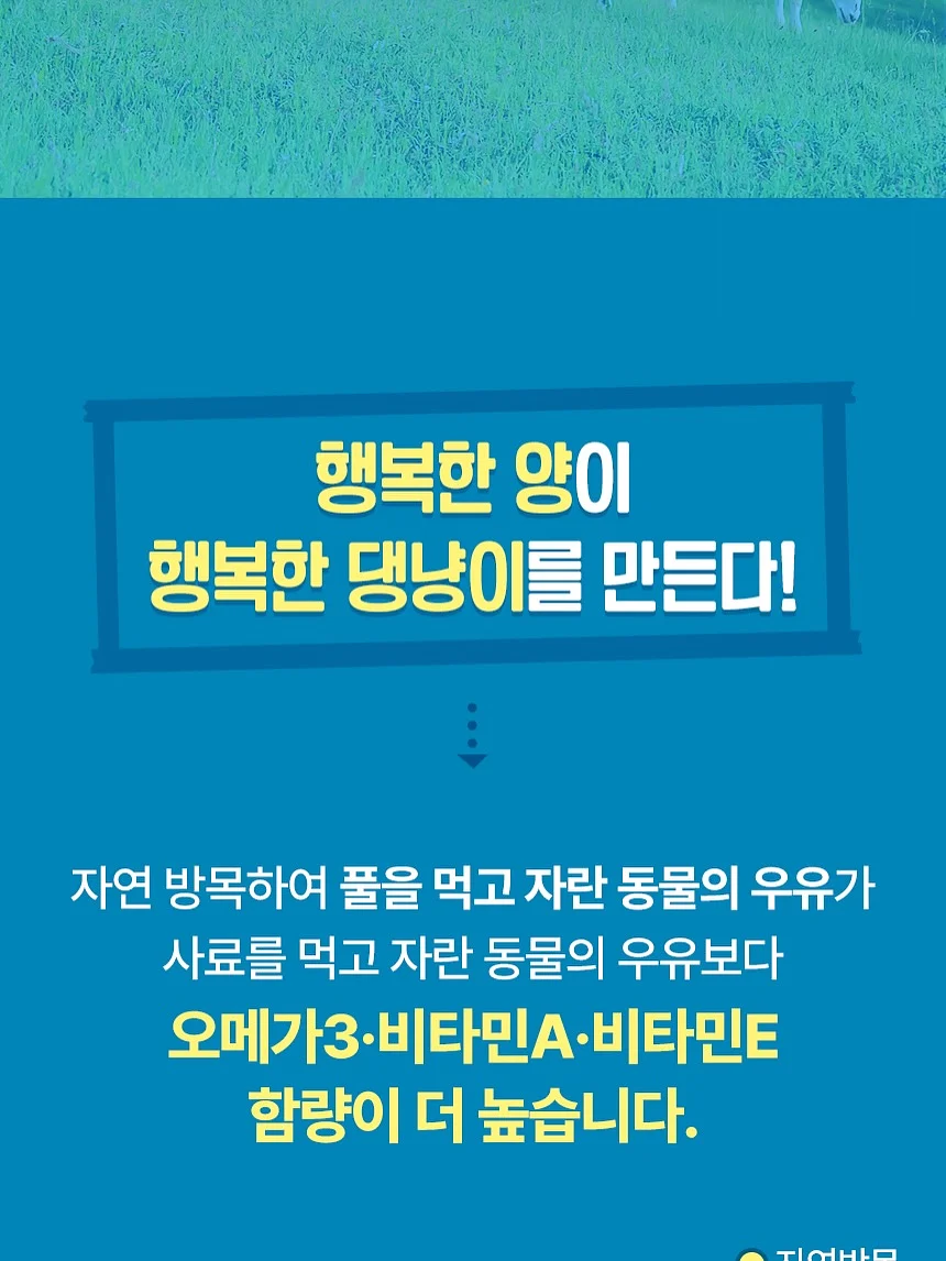 도형아 놀자 2D 5