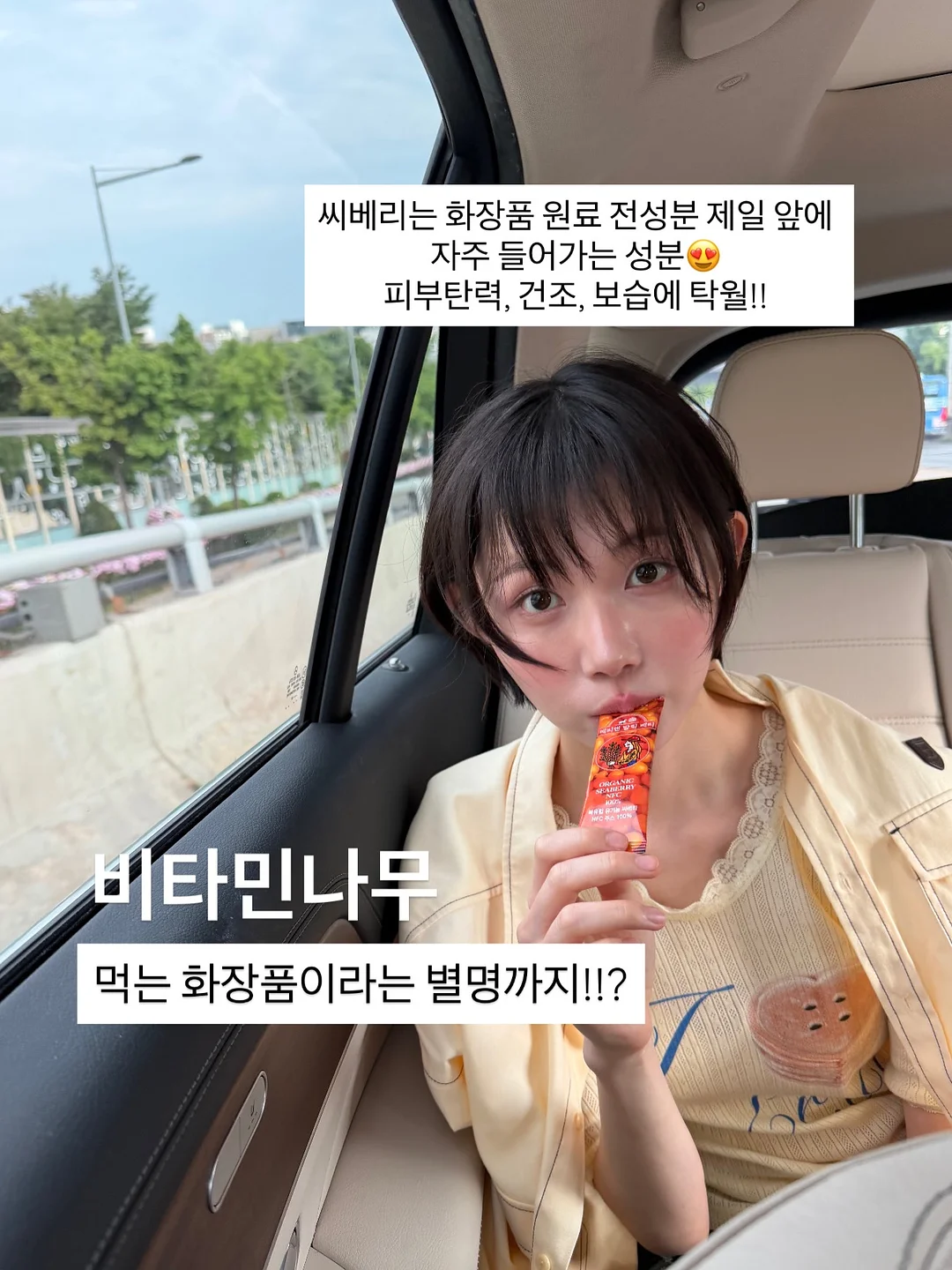 호르몬앰플 12