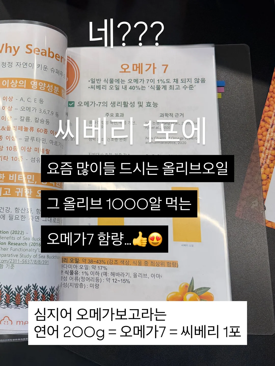 호르몬앰플 16