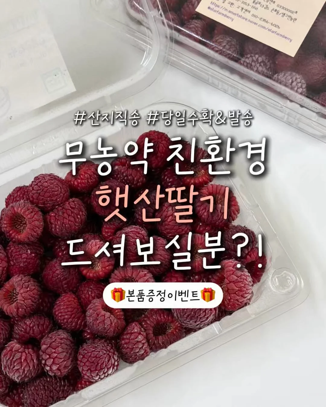 아이에게 읽기를 가르치는 방법 1
