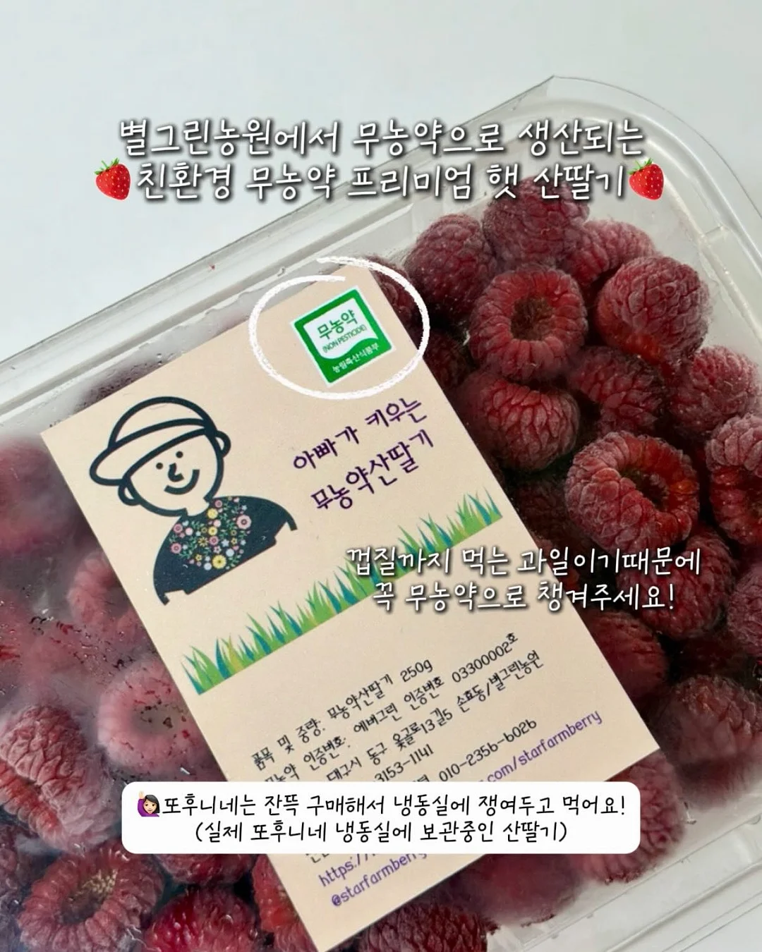 아이에게 읽기를 가르치는 방법 3