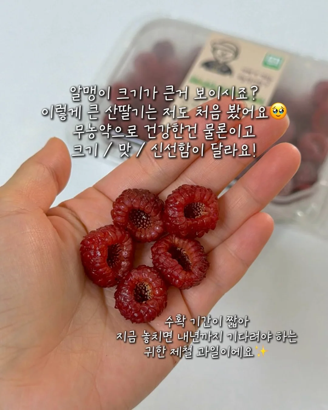 아이에게 읽기를 가르치는 방법 5