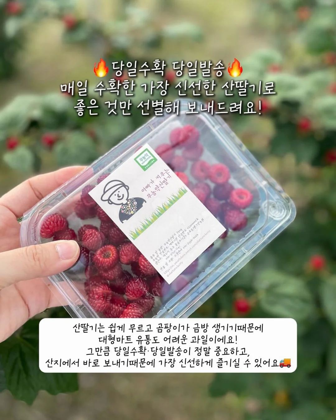 아이에게 읽기를 가르치는 방법 6