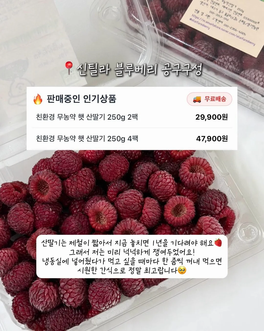 아이에게 읽기를 가르치는 방법 10