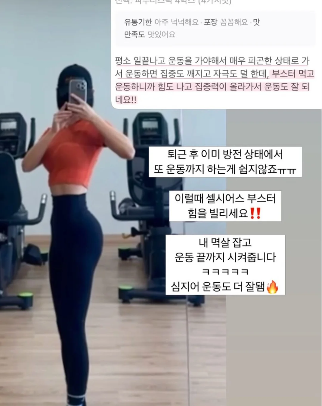 소파 12
