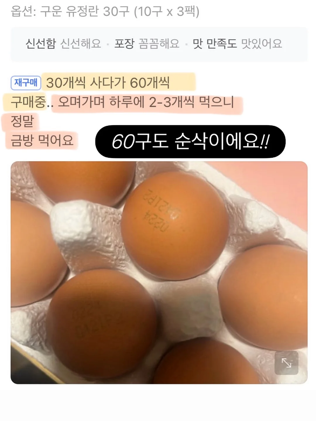 밀크하우스 여름 블루머 세트 18