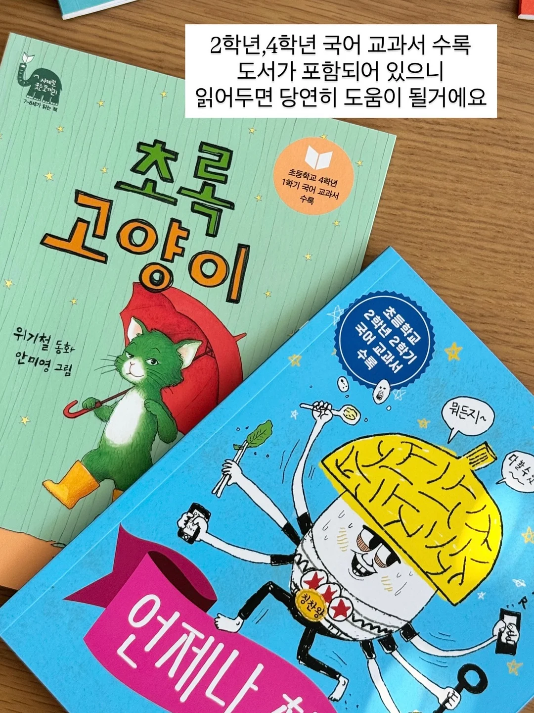 알리고무나무 11