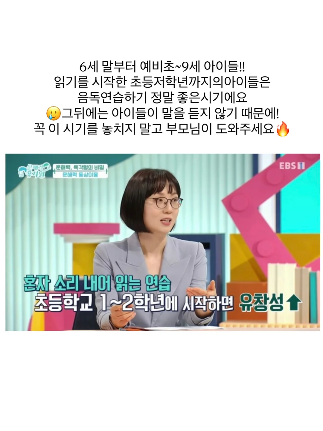 알리고무나무 4