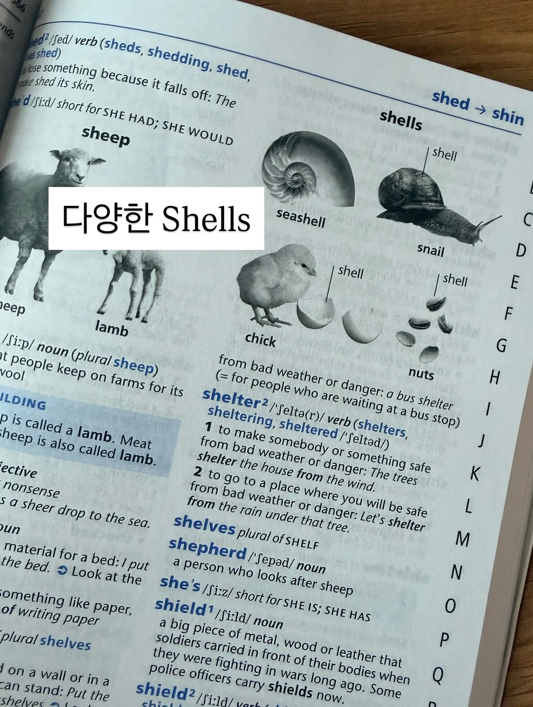 차량용 에어매트 10