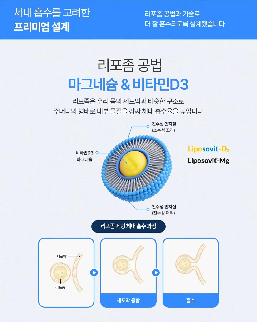 Garden Fairy 원피스 11