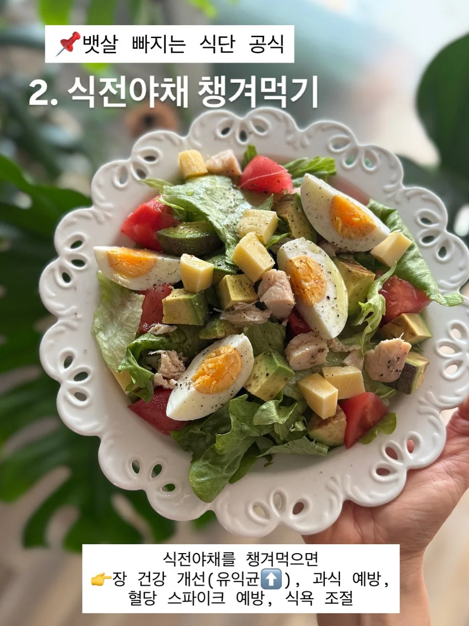 카고컨테이너 오브젝트 팬 마스터 9