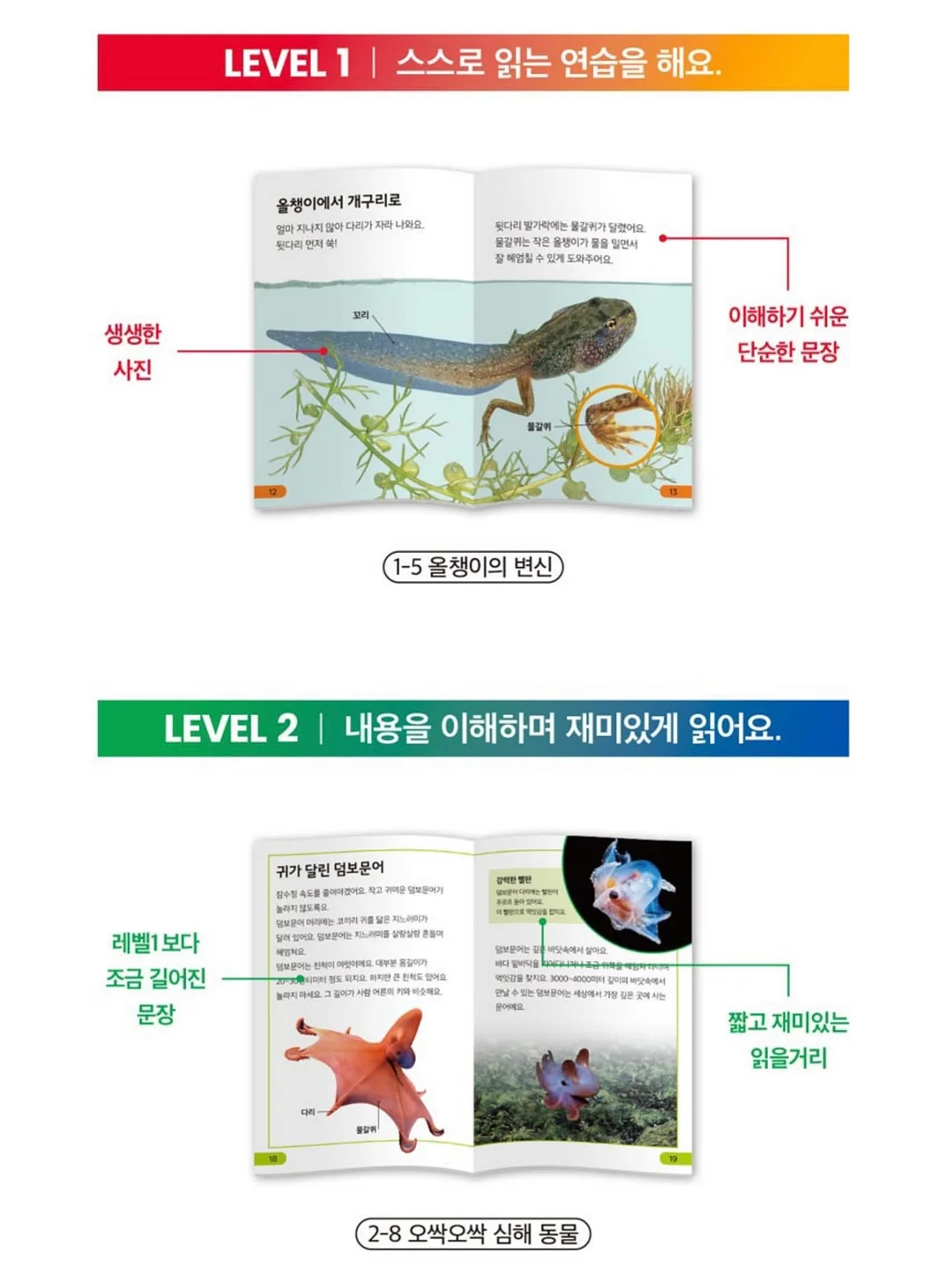 만화 한국신화 11