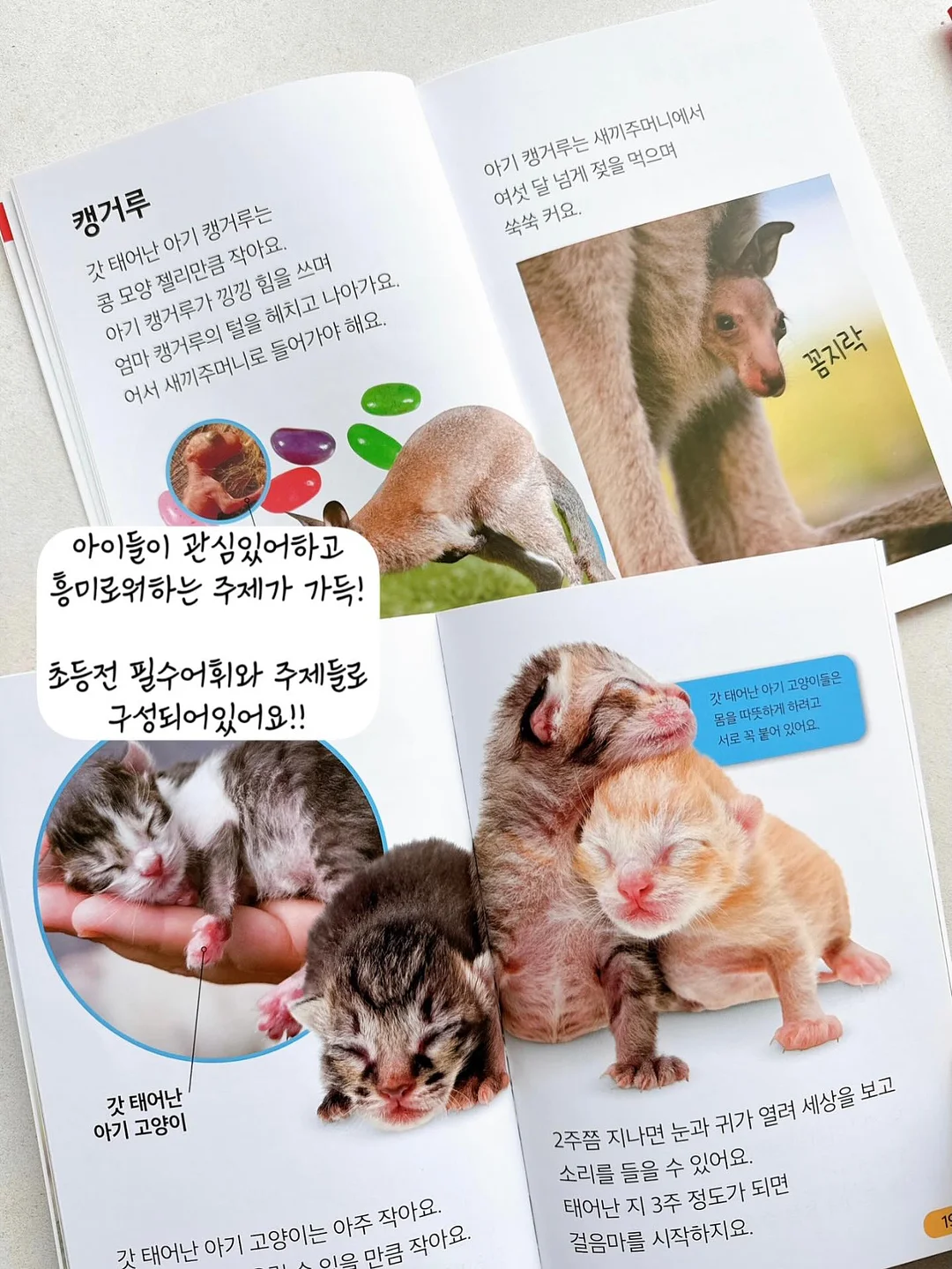 만화 한국신화 7