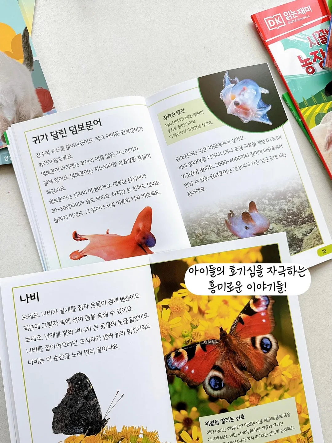 만화 한국신화 8