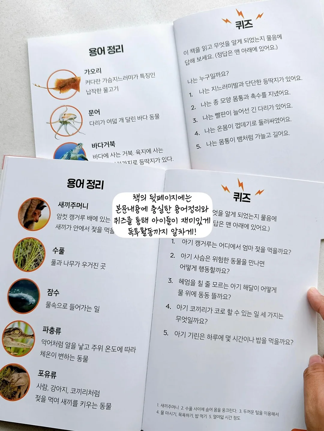 만화 한국신화 10