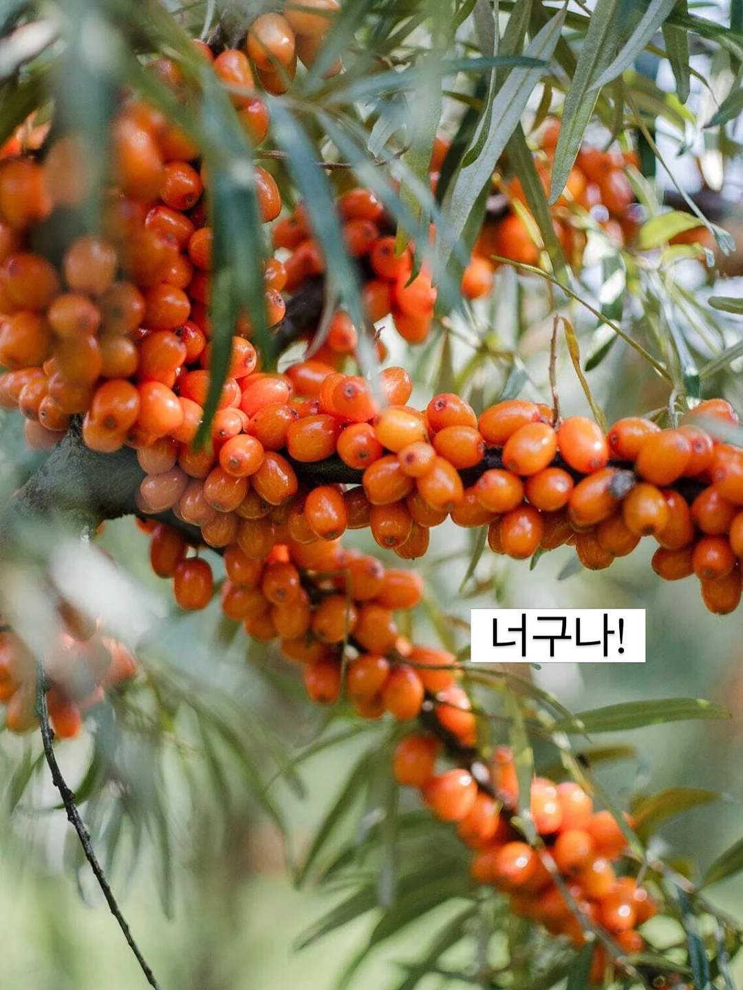 독서논술 수업 15