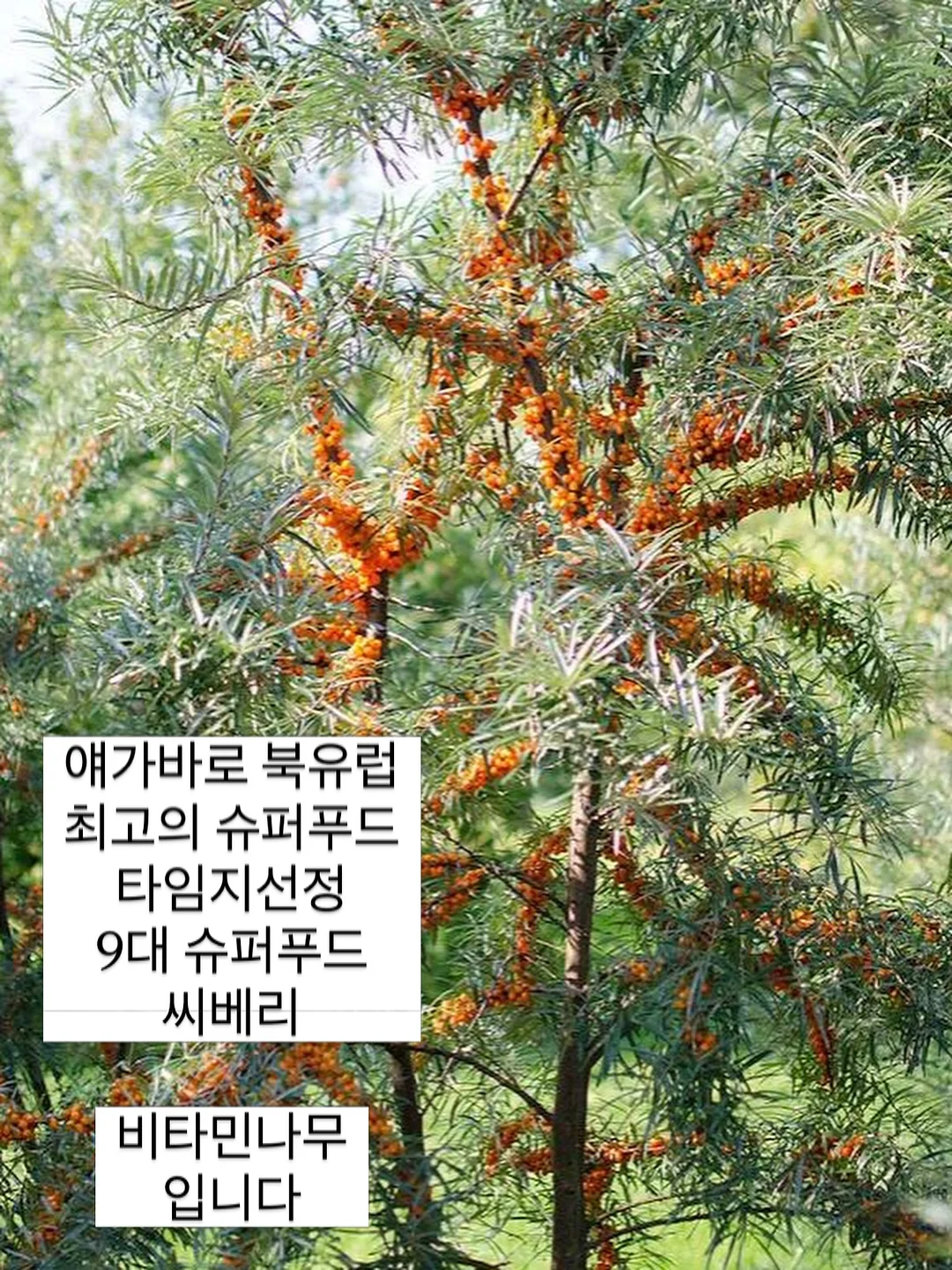 독서논술 수업 16