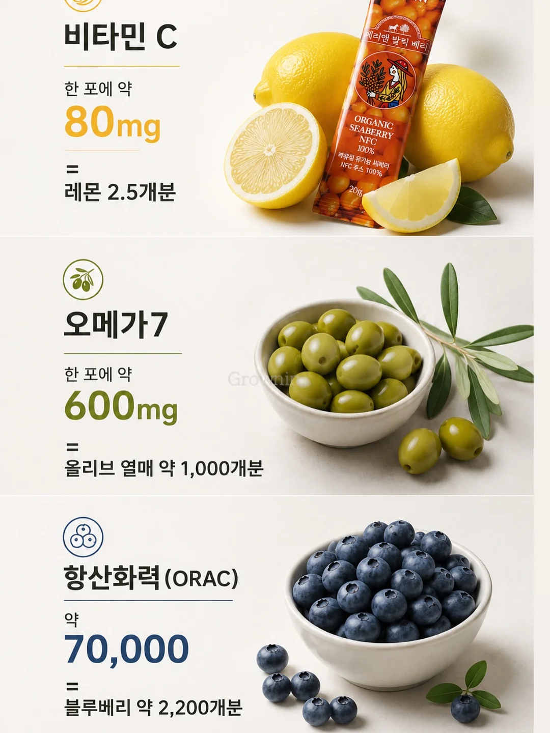 독서논술 수업 2